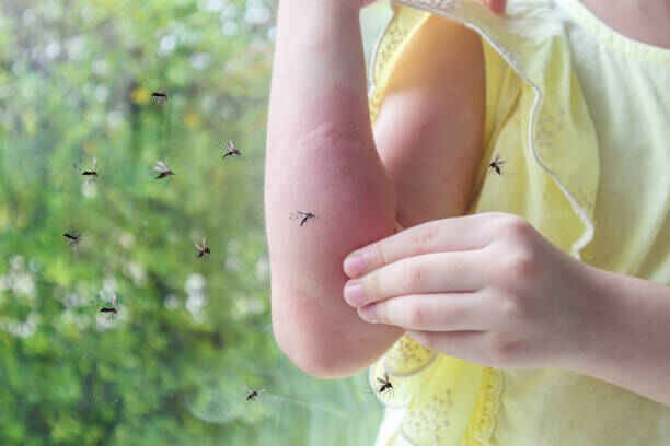 डेंगू बुखार – कारण, लक्षण एवम इलाज।